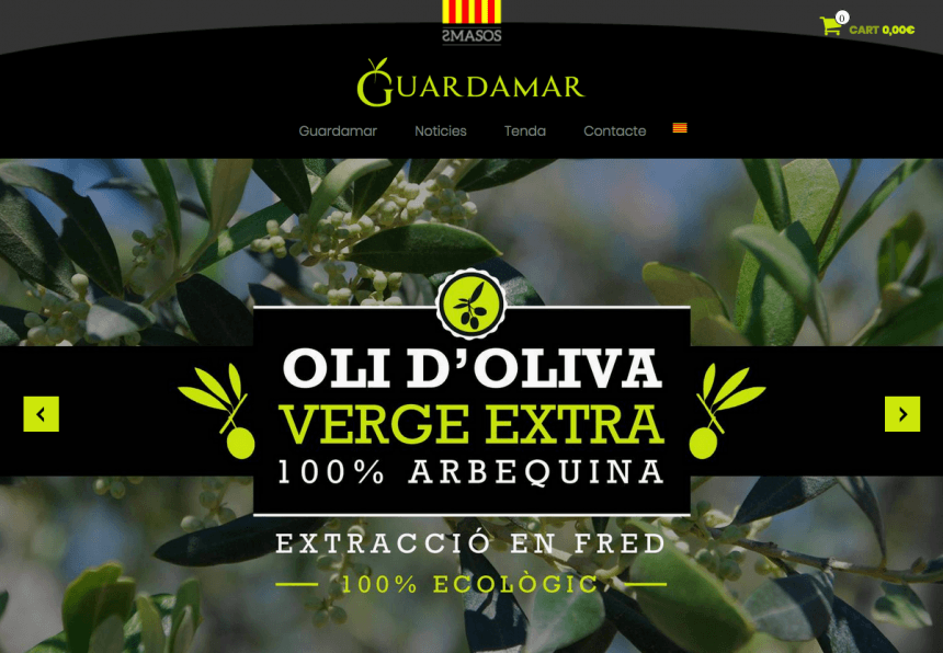 Capçalera disseny web de Guardamar